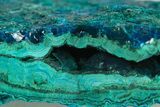 Brilliant Teal Botryoidal Chrysocolla and Malachite - Chile #299556-1